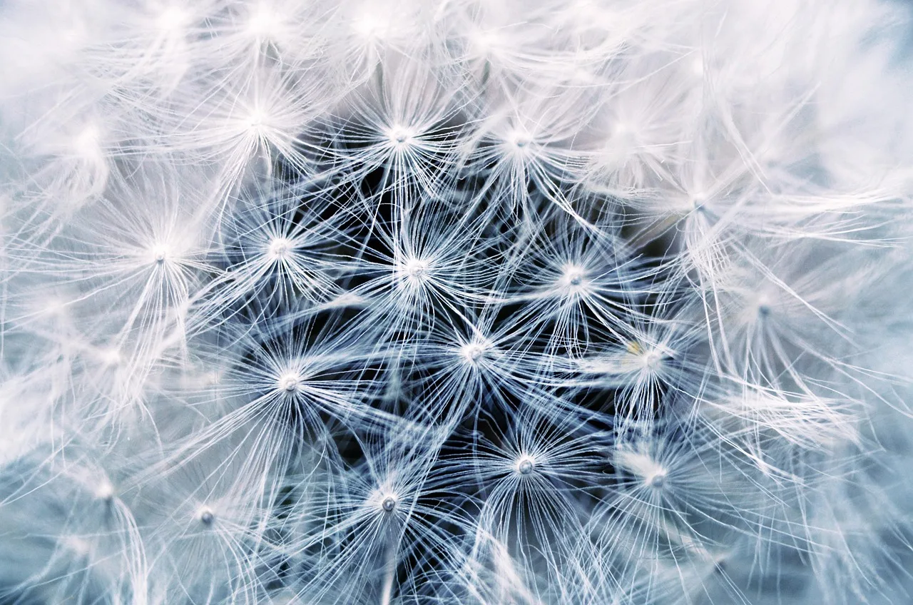 Multiliquid Closes Seed Funding Round - FinSMEs